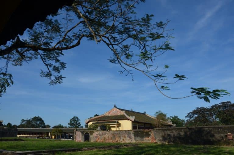 Vietnam, Hue – branches and blue sky, Jan.2015 (Hue)
