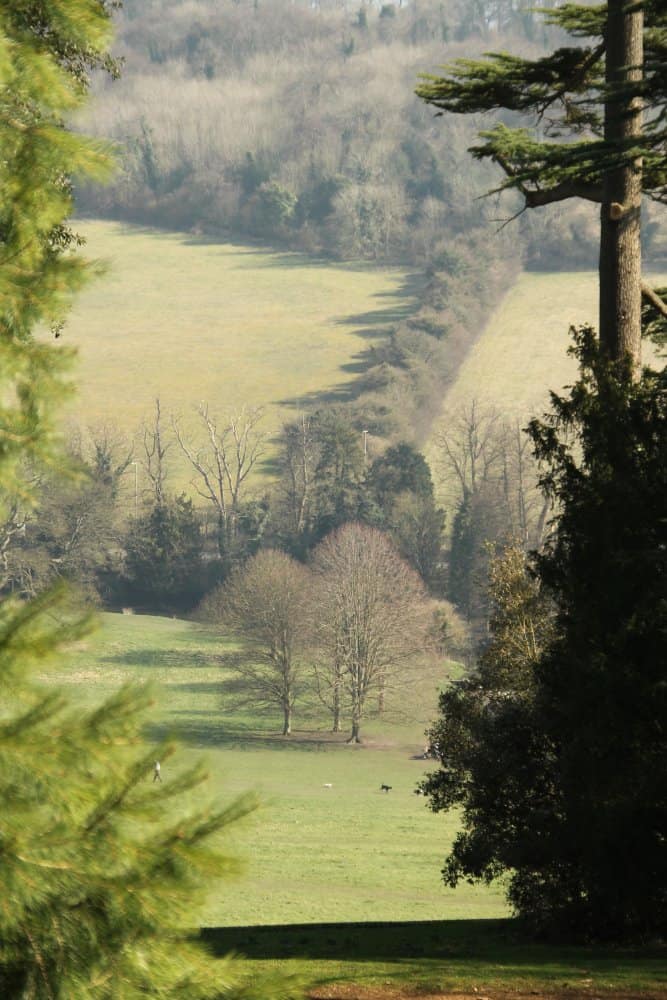 Inghilterra, High Wycombe  – panorama agreste, mar.2014