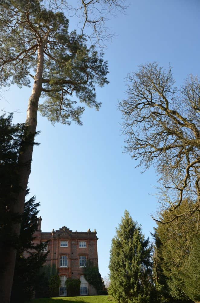 Inghilterra, High Wycombe  – alto, mar.2014