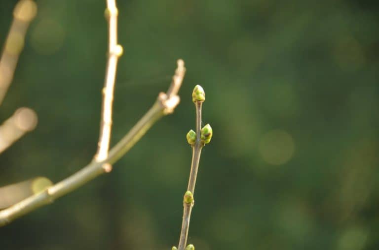Inghilterra, High Wycombe  – in arrivo, mar.2014
