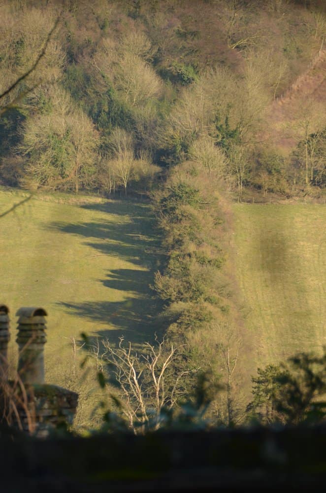 Inghilterra, High Wycombe  – ombra di alberi, mar.2014