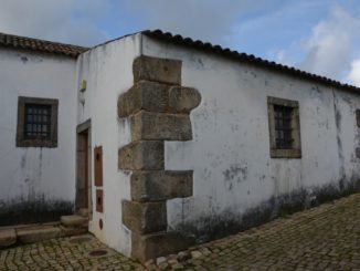 ポルトガル、イダーニャ・ア・ヴェーリャ－コウノトリ 2014年11月