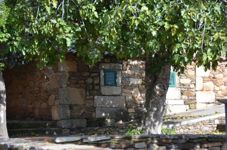 Portogallo, Idanha-a-Velha – ombra, nov. 2014 (Monsanto)