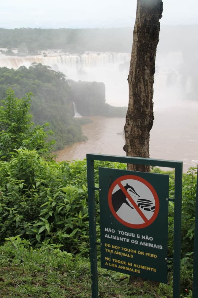 warning, Jan.2016 (Cataratas de Iguazú)