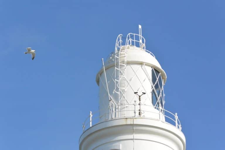 Isle of Portland – seagull and lighthouse, May 2015 (Dorset)