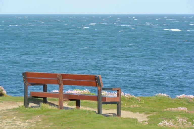 Isle of Portland – bench, May 2015 (Dorset)