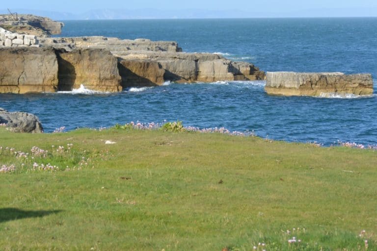 Isle of Portland – cliff, May 2015 (Dorset)