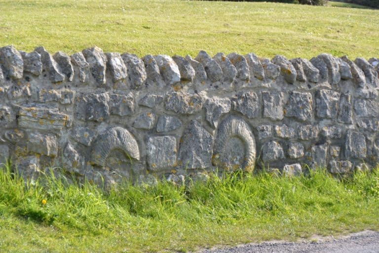 Isle of Portland – ammonite in stone wall, May 2015 (Dorset)