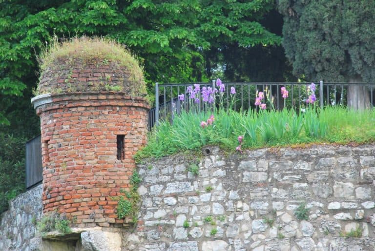 Italia, Brescia – fiori, maggio 2013 (Lombardia)