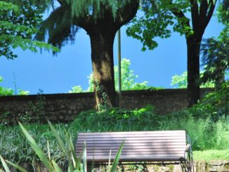 Italy, Lago di Varese – bench, June 2013
