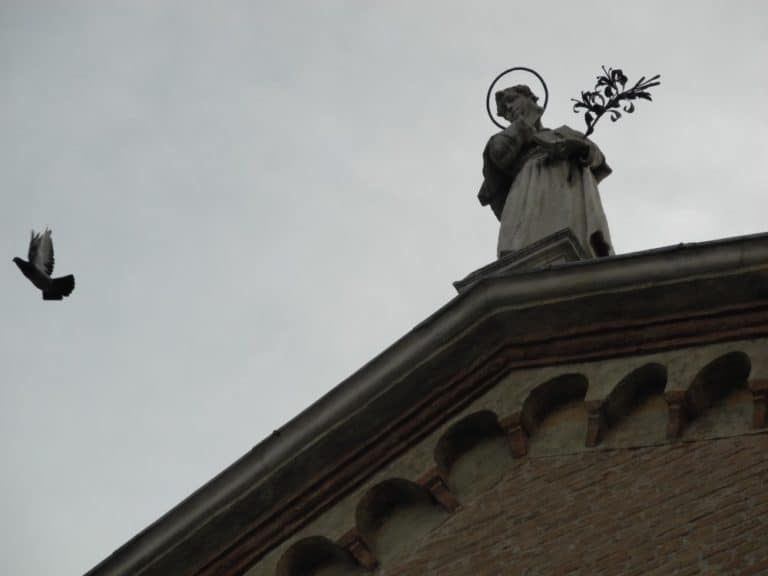 イタリア、パドヴァ－はと 2011年 (ヴェネト)