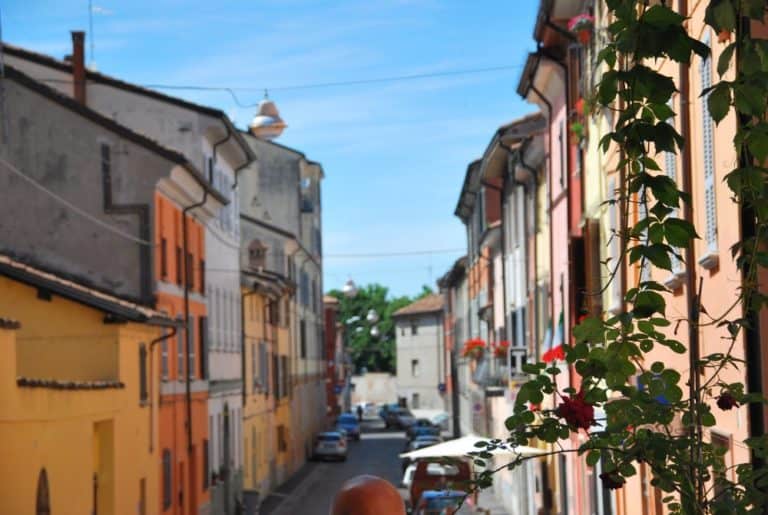 Italy, Piacenza – bald head, June 2013 (Emilia-Romaña)