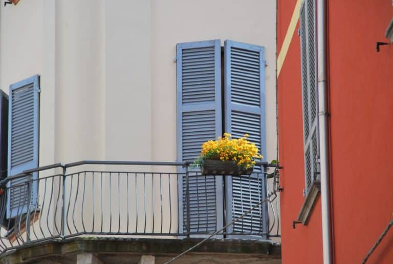 Italy, Piacenza – yellow flowers, June 2013 (Emilia-Romaña)