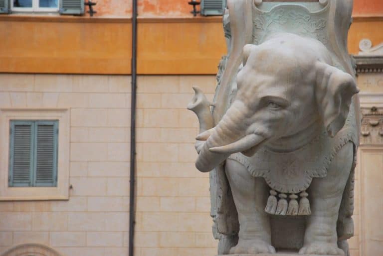 Italy, Rome – elephant, Nov.2013 (Rome)
