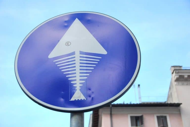 Italy, Rome – sign of fish, Nov.2013 (Rome)