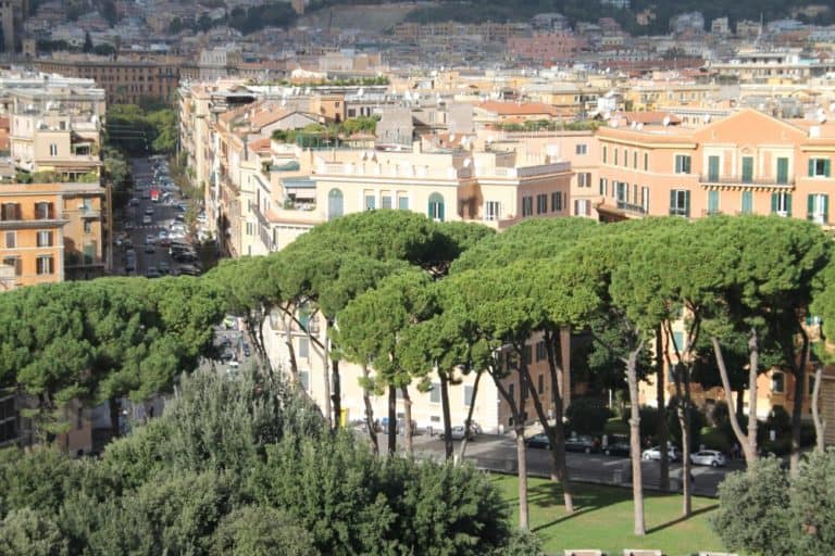 Italy, Rome – view with trees Nov.2013 (Rome)