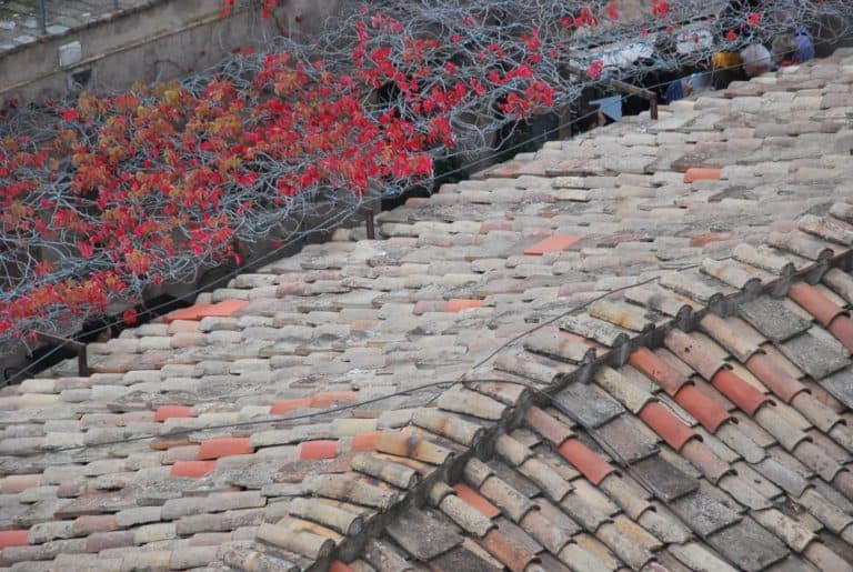 Italy, Rome – roof, Nov.2013 (Rome)