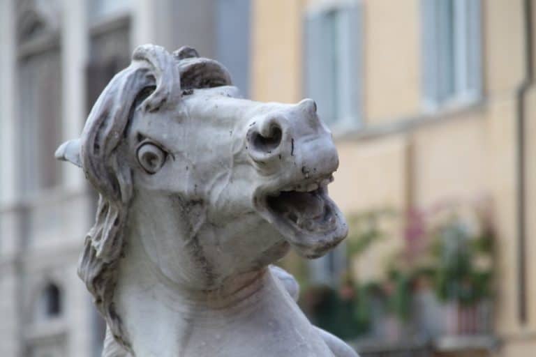 Italy, Rome – horse, Nov.2013 (Rome)
