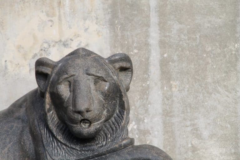 Italy, Rome – Vatican Museum 8, Nov.2013 (Rome)