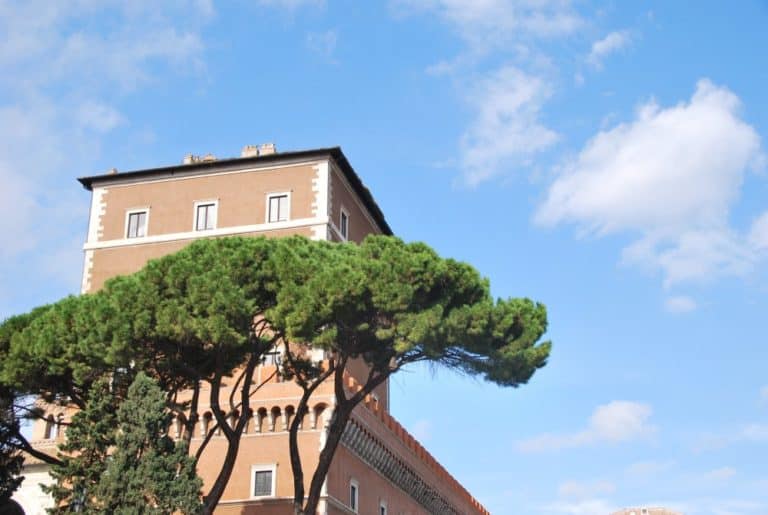 Italy, Rome – pine and building, Nov.2013 (Rome)