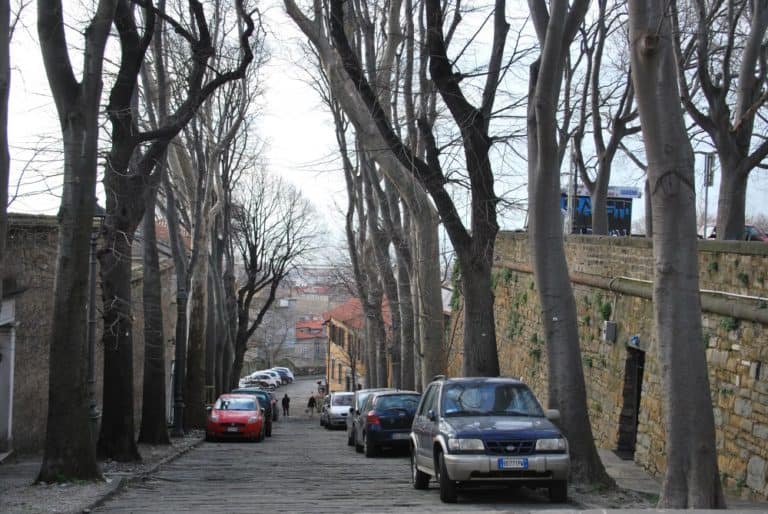 Italy, Trieste – avenue, Feb. 2014 (Trieste)