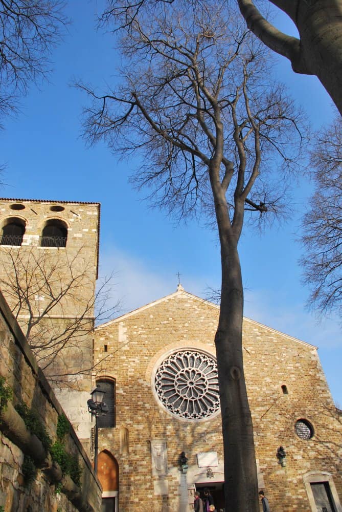 Italy, Trieste – tree and church, Feb. 2014 (Trieste)