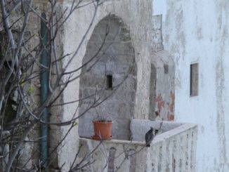 Italy, Polignano a Mare – blue of spring, Apr.2013