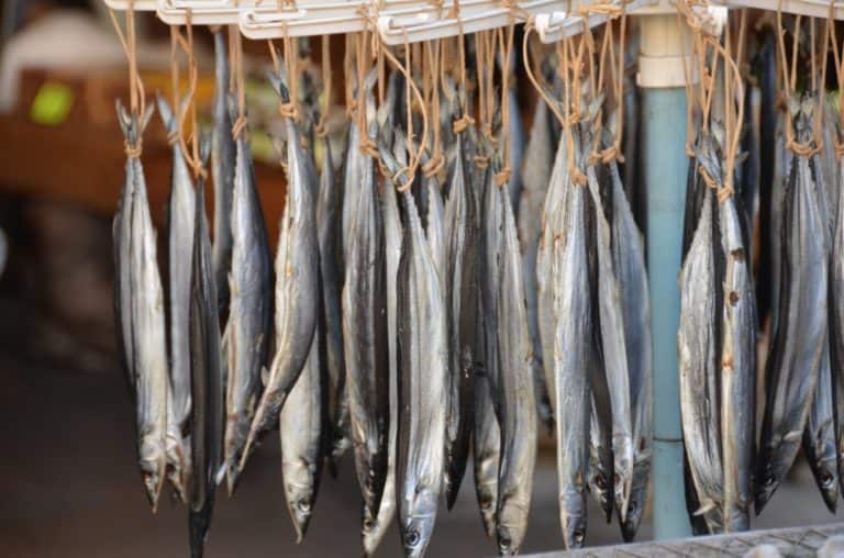 日本、伊豆熱川－干された魚 2013年12月 (伊豆)