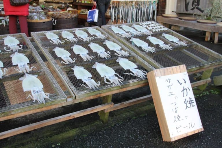 日本、伊豆熱川－店 2013年12月 (伊豆)