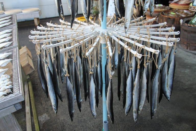 日本、伊豆熱川－物干しに魚 2013年12月 (伊豆)
