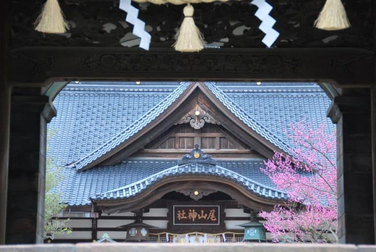 Visitare per sbaglio il tempio Oyama