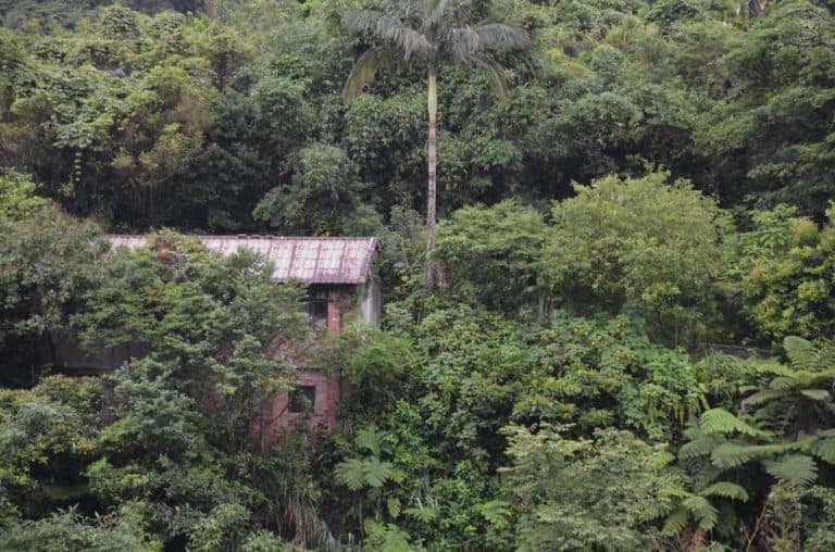 Jingtong – house in the jungle, May 2015
