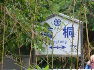 Longshan Temple – signs, May 2015
