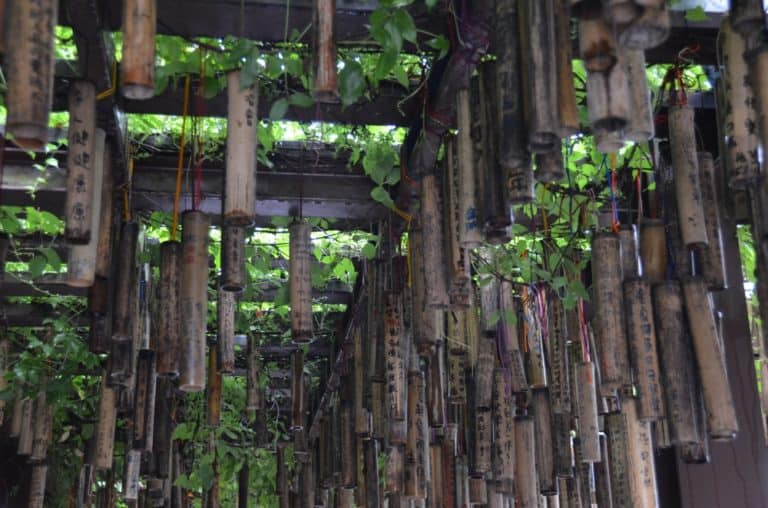 Jingtong – many bamboo pipes, May 2015