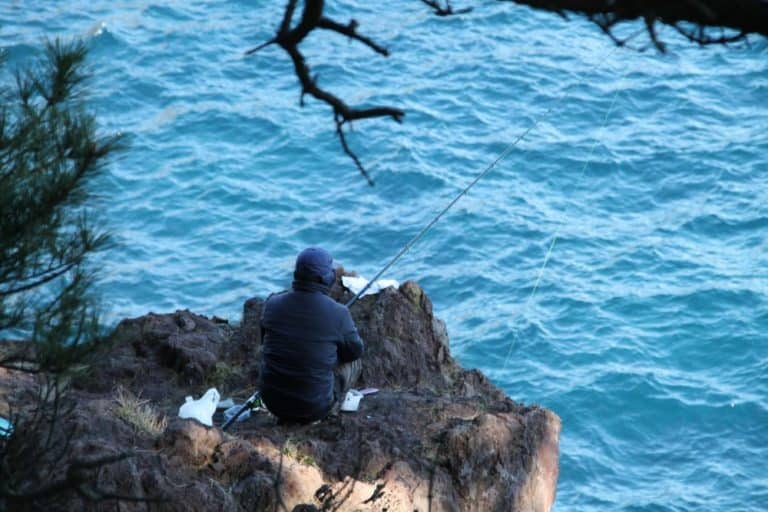 日本、城ケ埼－釣り 2013年12月 (伊豆)