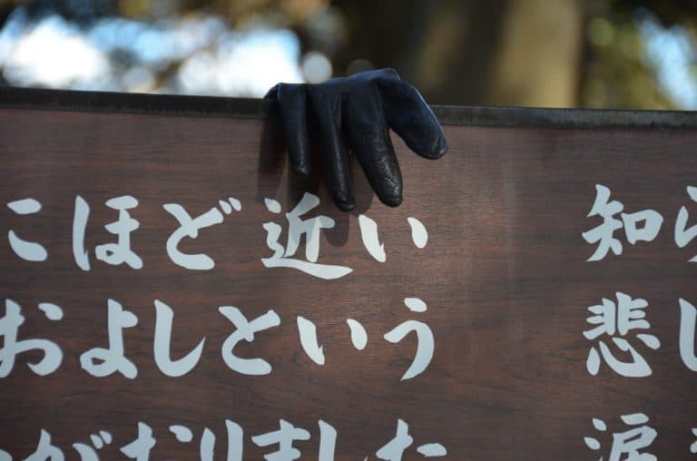 日本、城ケ埼－手袋 2013年12月 (伊豆)
