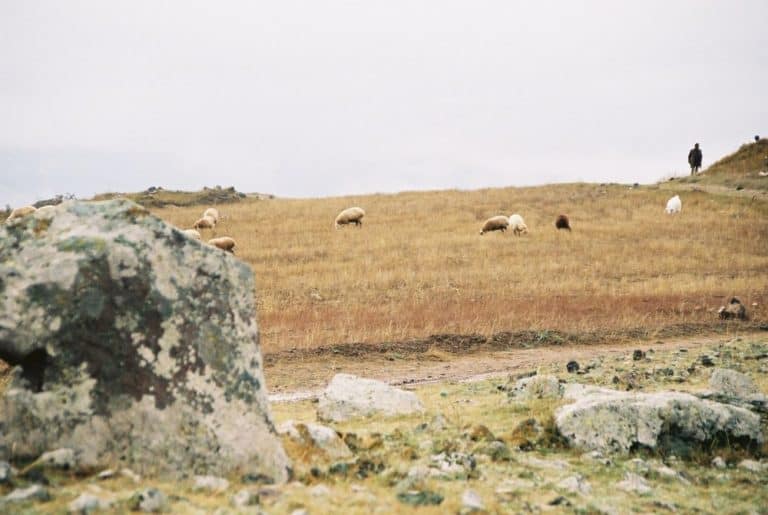 Armenia, Karahunj – peaceful, Autumn 2005