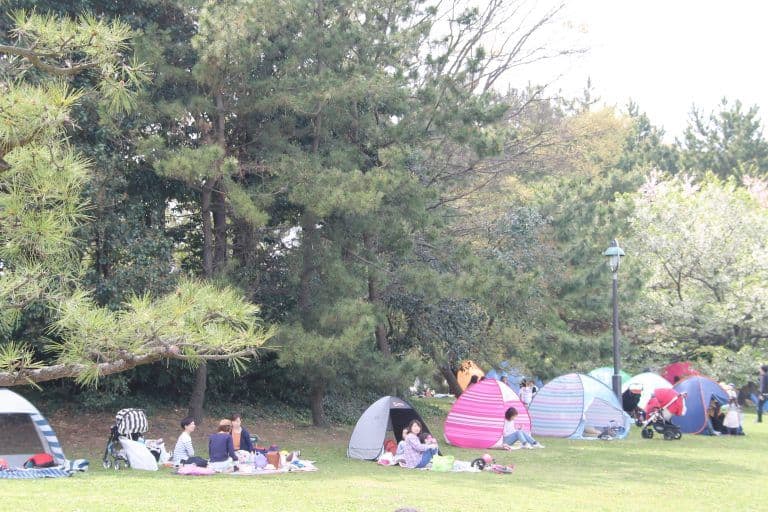 東京、葛西臨海公園－テント 2017年4月 (東京)