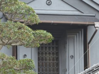 Japan, Kamakura – face, Dec.2012