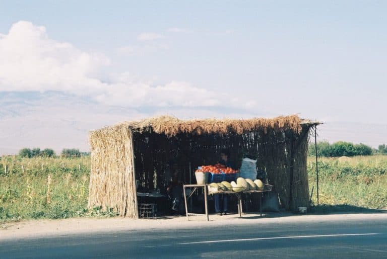 Khor Virap 7