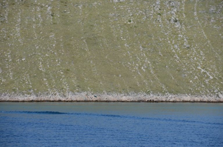 Kornati (9) (コルナティ)