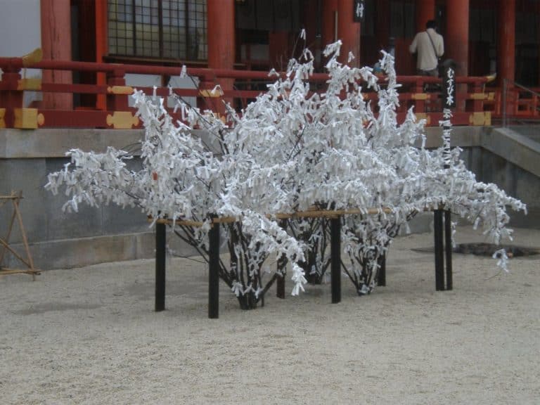 Japan, Kyoto – flowers?, Apr. 2013 (Kyoto)