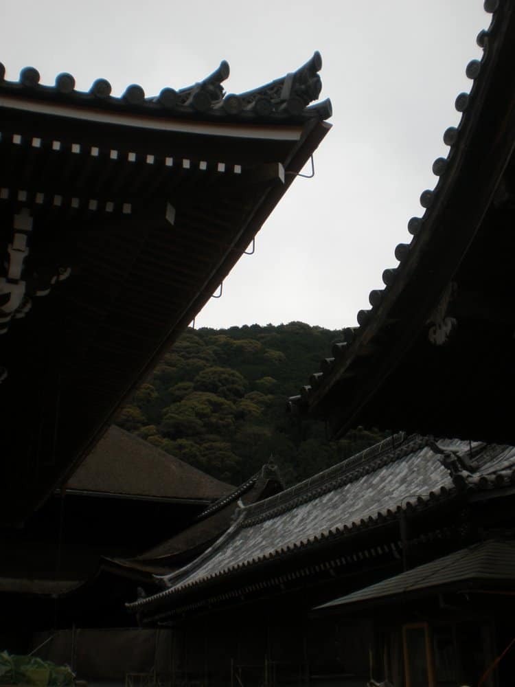 Japan, Kyoto – between the roofs, Apr. 2013 (Kyoto)