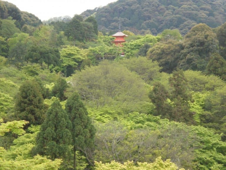 Japan, Kyoto – immersed in nature, Apr. 2013 (Kyoto)