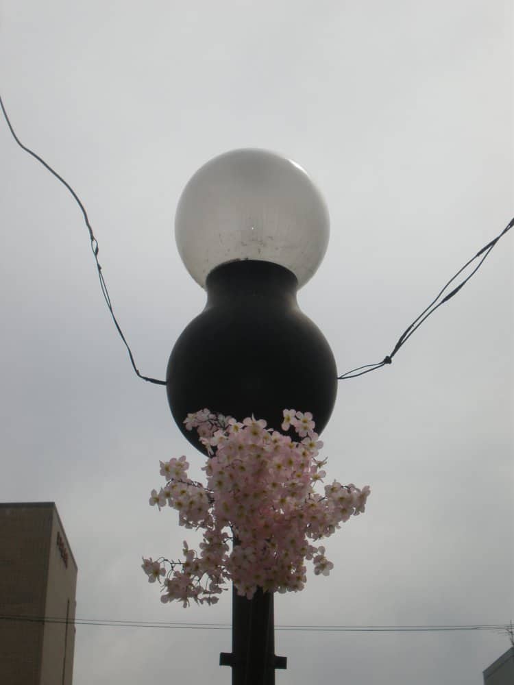 Giappone, Kyoto – lampione con fiori, aprile 2013 (Kyoto)
