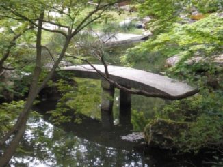 日本、京都－自然環境-2013年4月