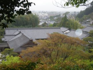 日本、京都－自然環境-2013年4月