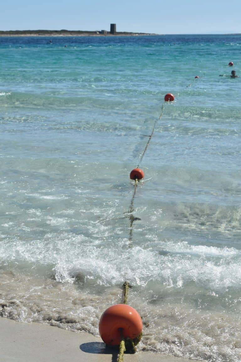 La Pelosa 2020 (26) (Sardegna)