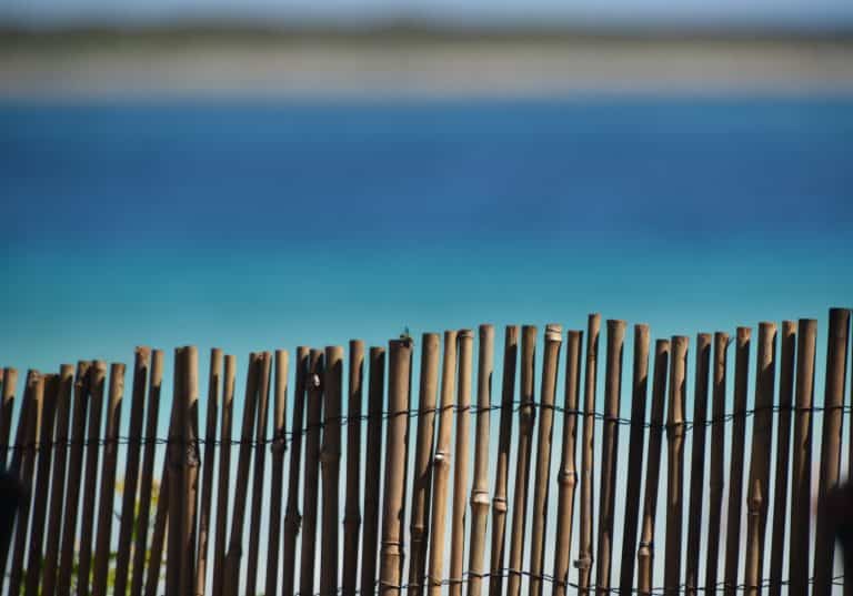 La Pelosa 2020 (28) (Sardegna)