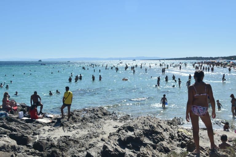 La Pelosa 2020 (3) (Sardegna)
